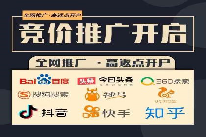 SEM公司案例研究：数据驱动营销策略
